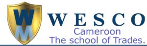 logo1